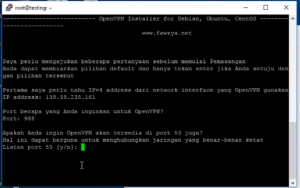 Cara Setting dan Aktifkan Openvpn
